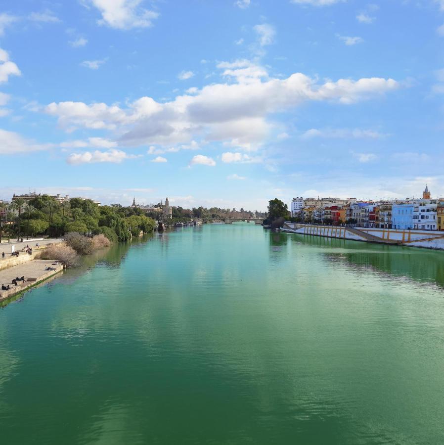 Lovely Center Apartments - Alameda Sunny Terrace Siviglia Esterno foto