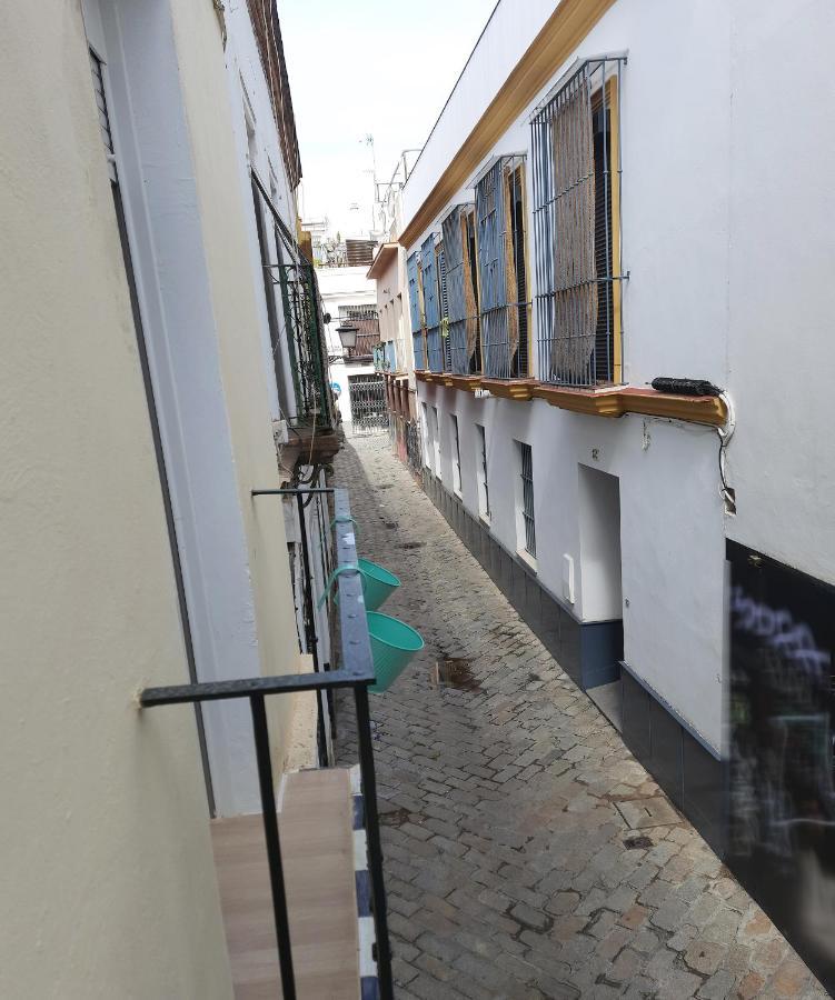 Lovely Center Apartments - Alameda Sunny Terrace Siviglia Esterno foto