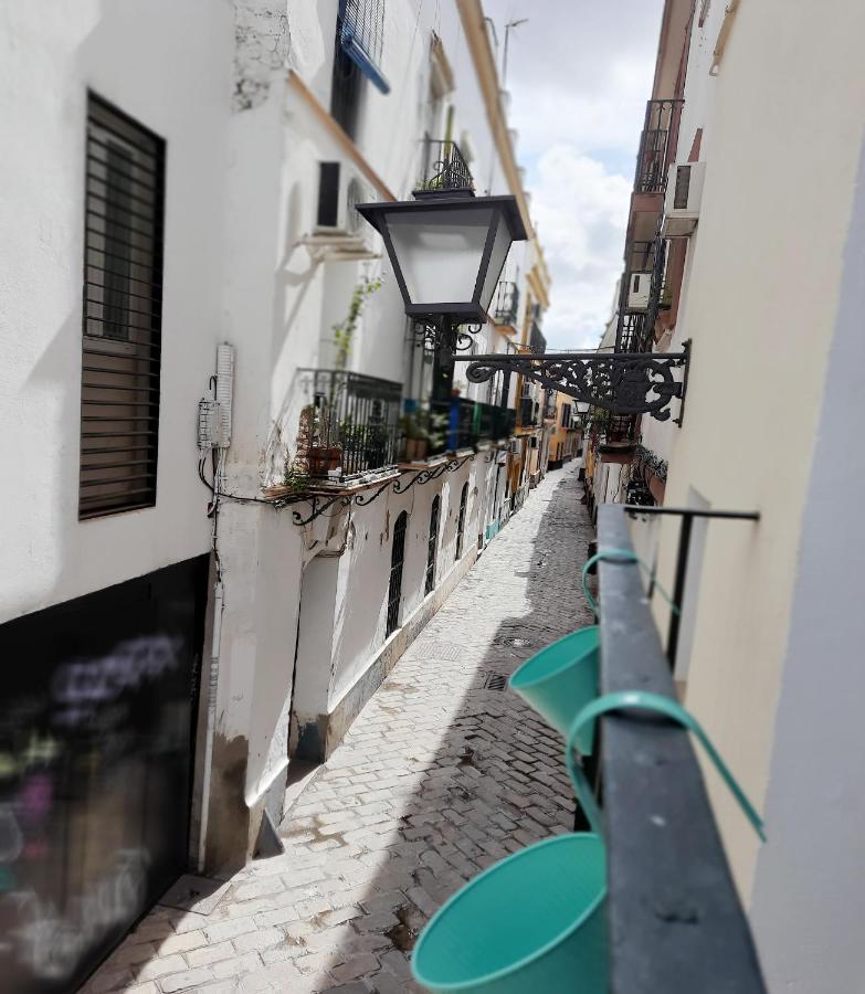 Lovely Center Apartments - Alameda Sunny Terrace Siviglia Esterno foto